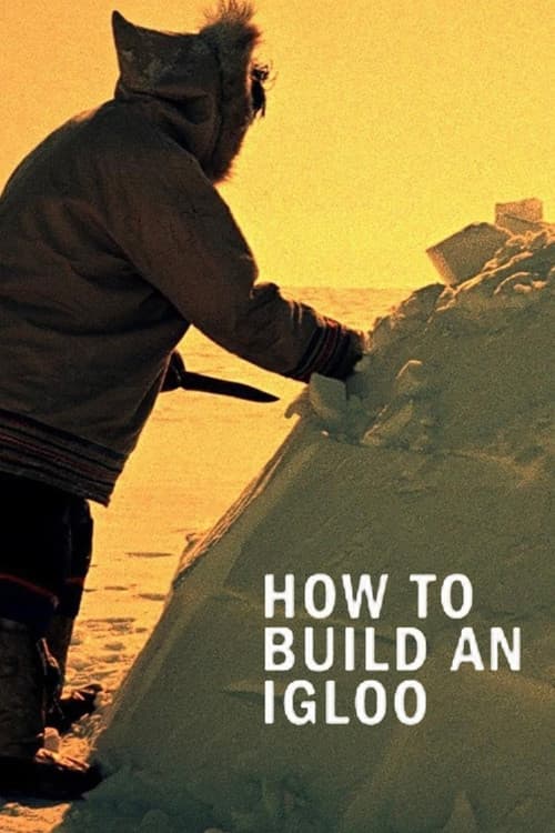 Poster for How to Build an Igloo
