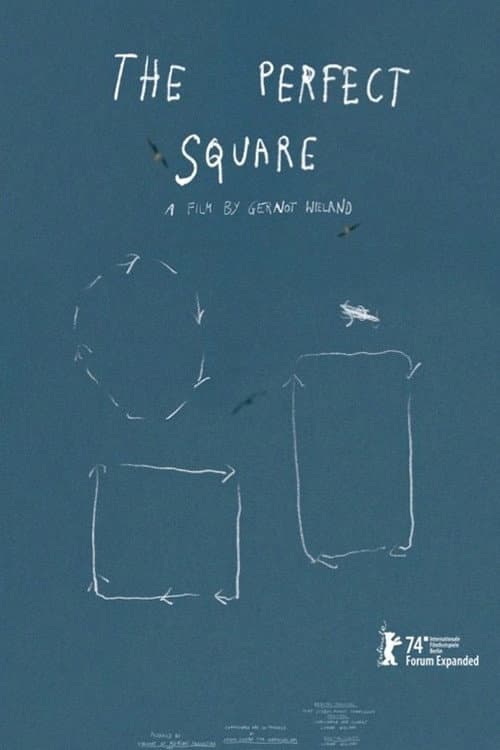 Poster for The Perfect Square
