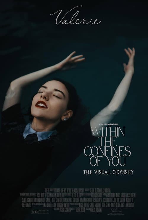 Poster for Within the Confines of You: The Visual Odyssey