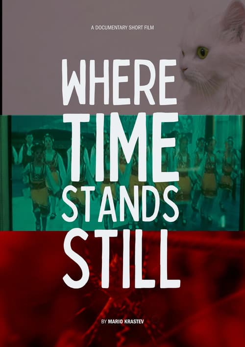 Poster for Where Time Stands Still