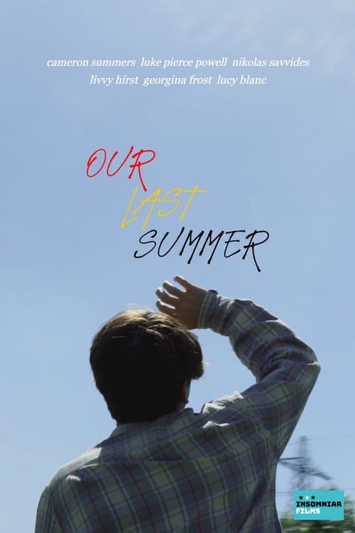 Poster for Our Last Summer