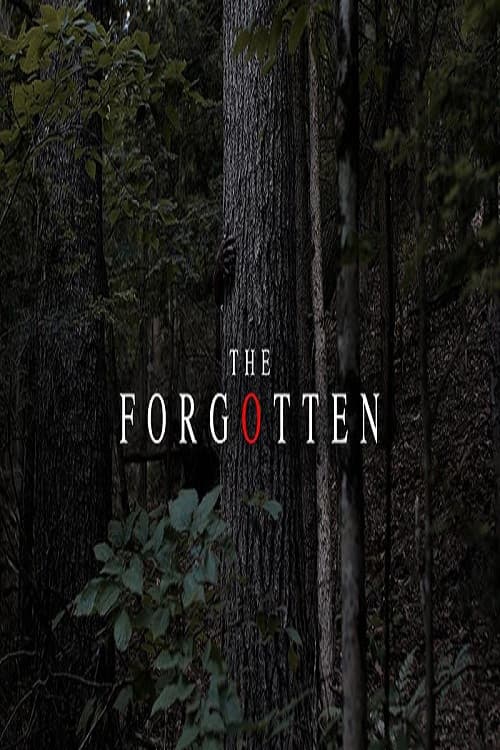 Poster for The Forgotten