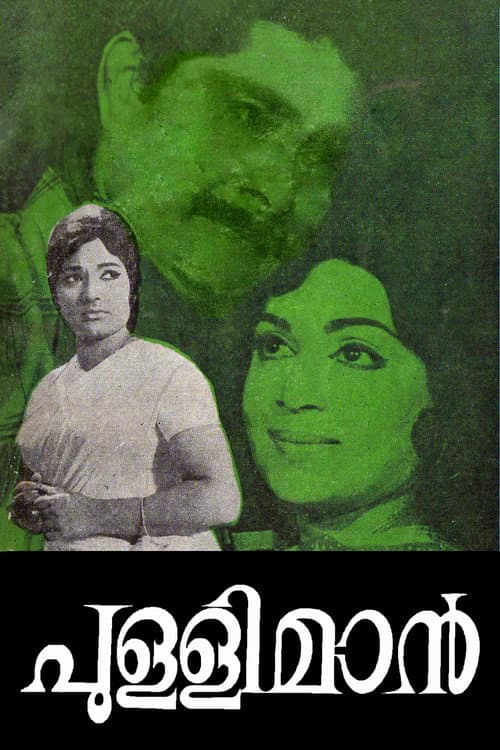 Poster for Pullimaan
