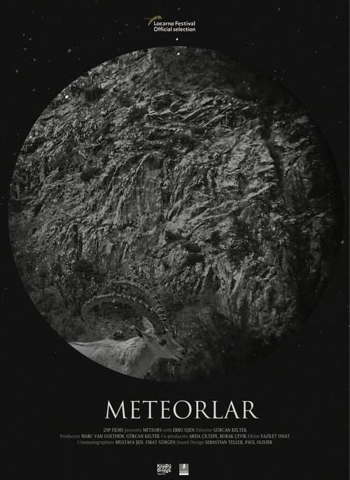 Poster for Meteors