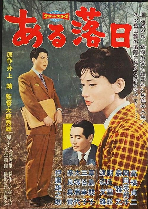 Poster for ある落日