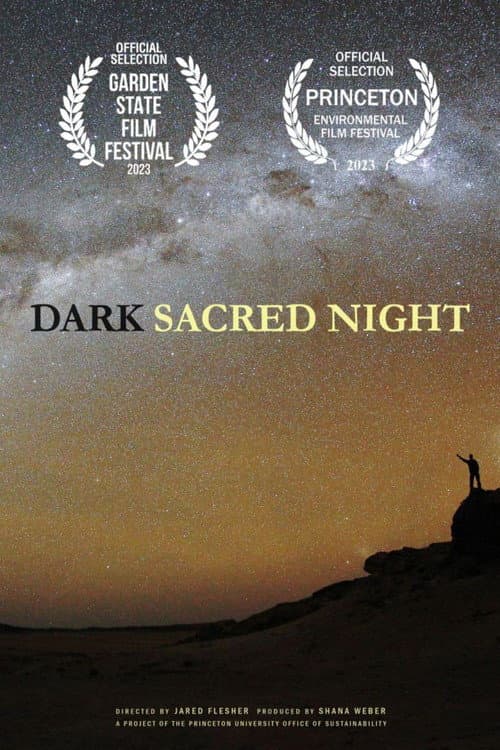 Poster for Dark Sacred Night