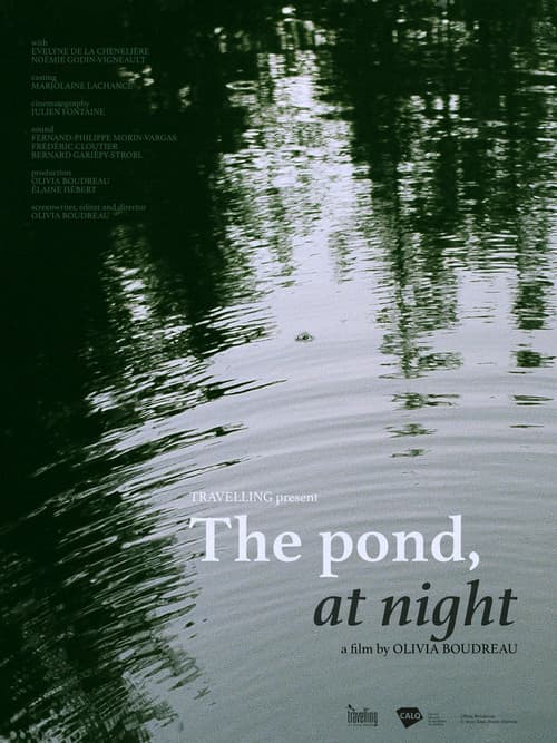 Poster for The Pond, at Night