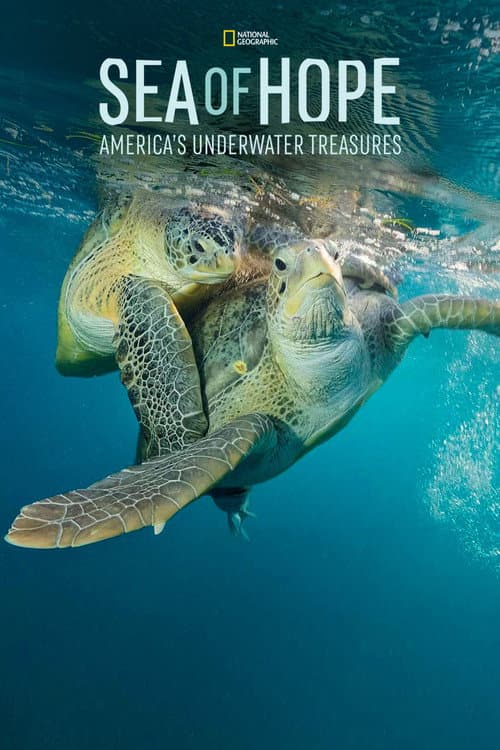 Poster for Sea of Hope: America's Underwater Treasures