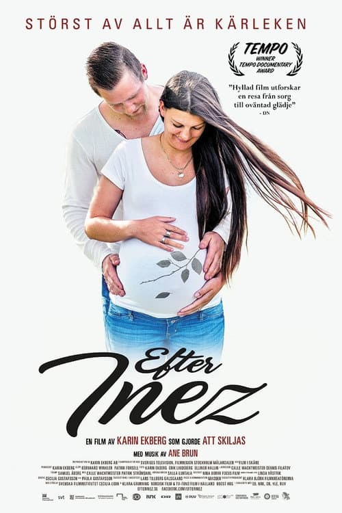 Poster for After Inez