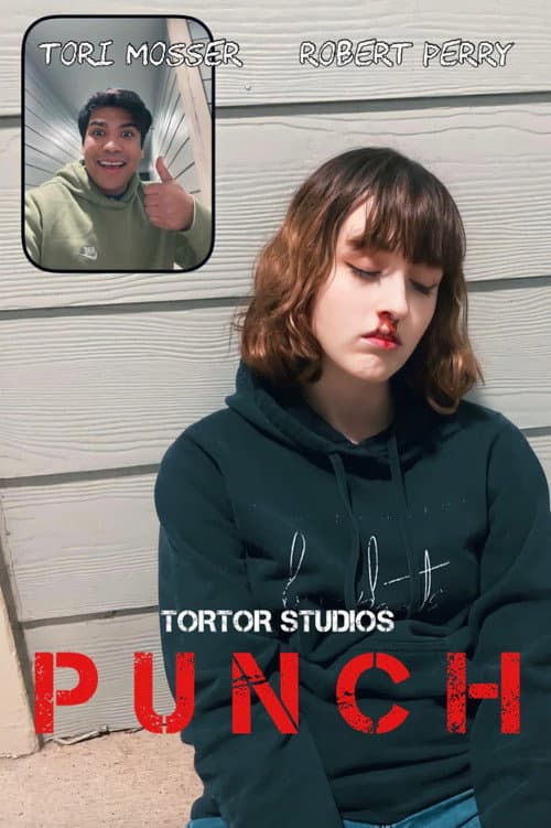 Poster for Punch