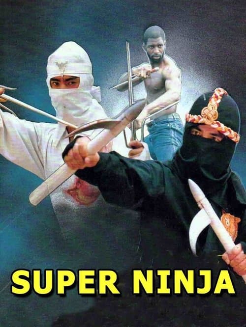 Poster for The Super Ninja