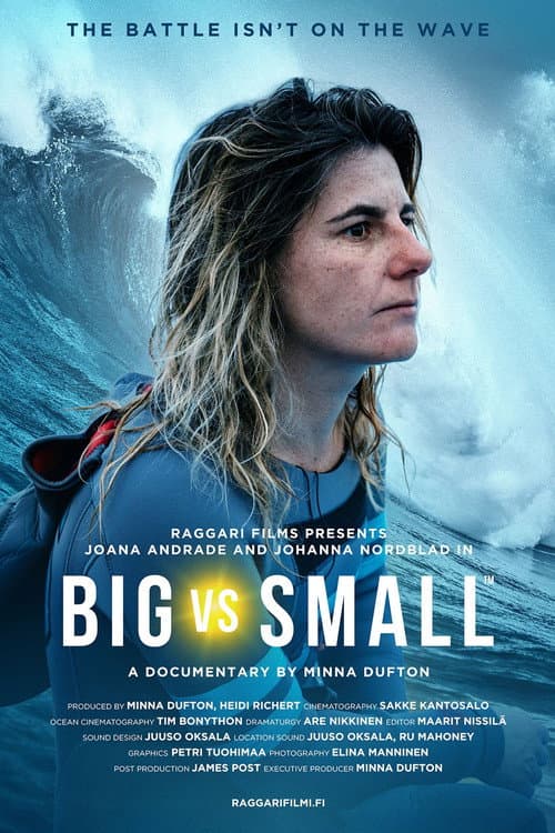 Poster for Big vs. Small