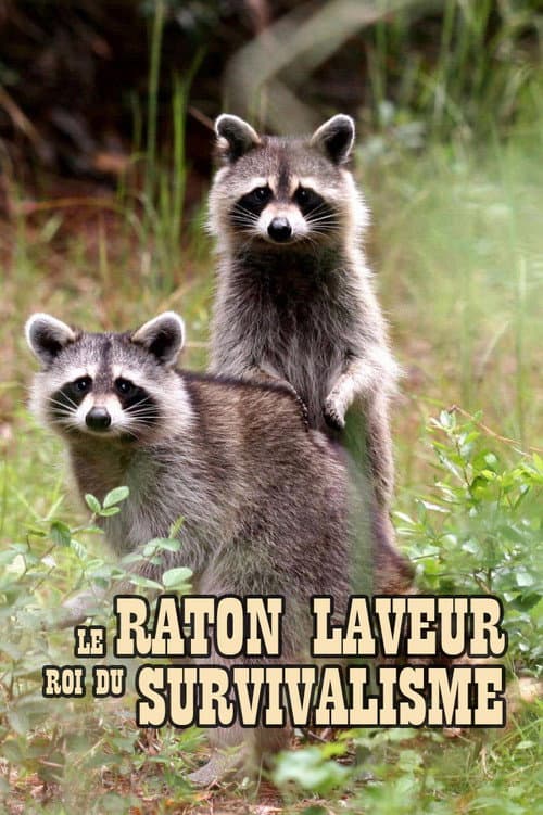 Постер до фільму «The Raccoon; The King of Survivalism»