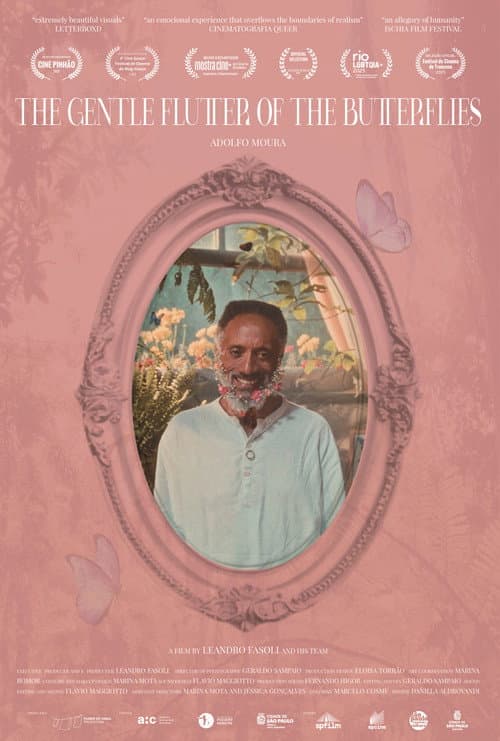 Poster for The Gentle Flutter of the Butterflies