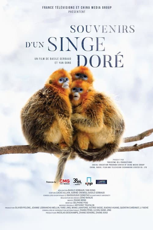 Poster for Souvenirs d'un singe doré