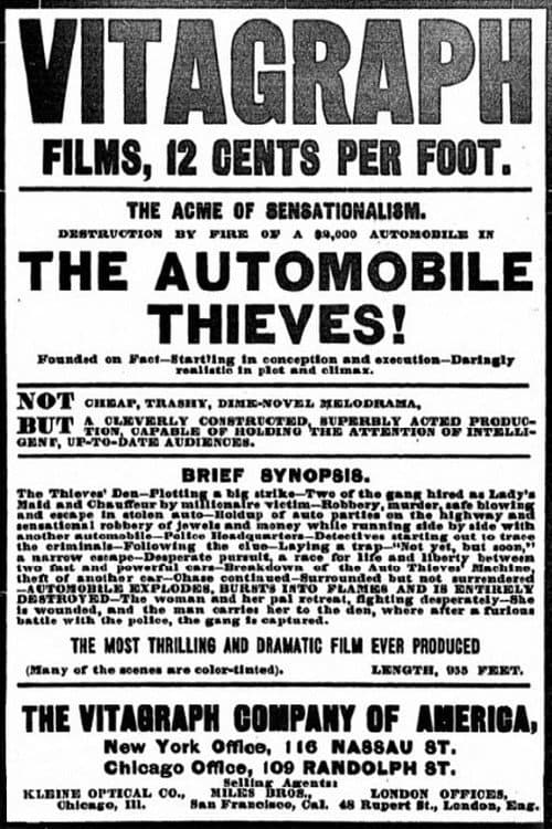 Poster for The Automobile Thieves