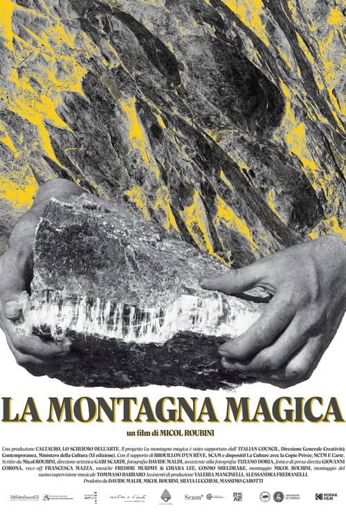 Poster for La montagna magica
