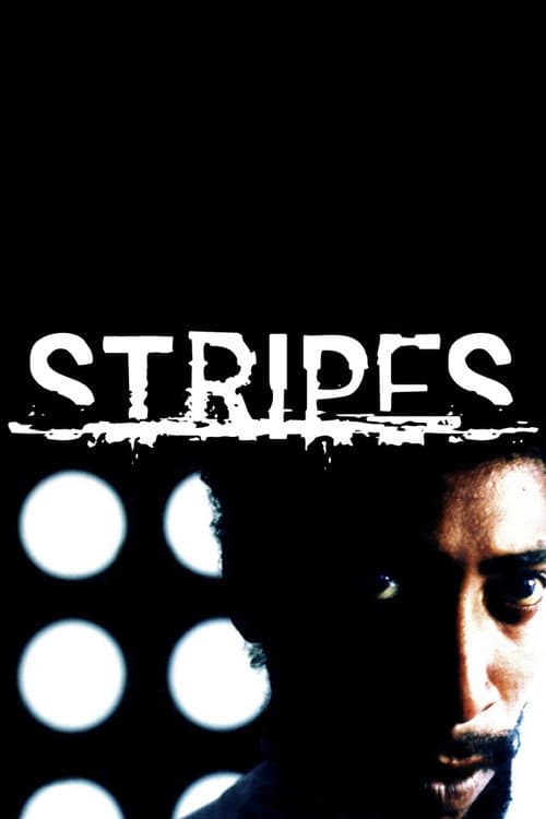 Poster for Stripes