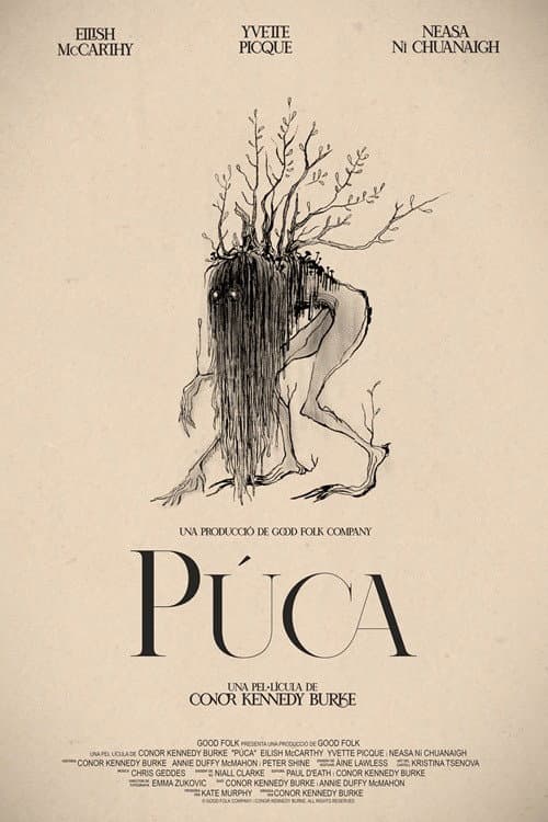 Poster for Púca