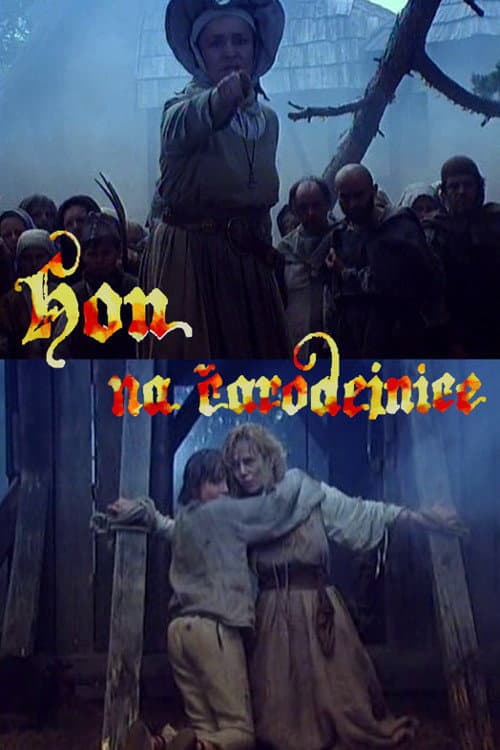 Poster for Hon na čarodejnice