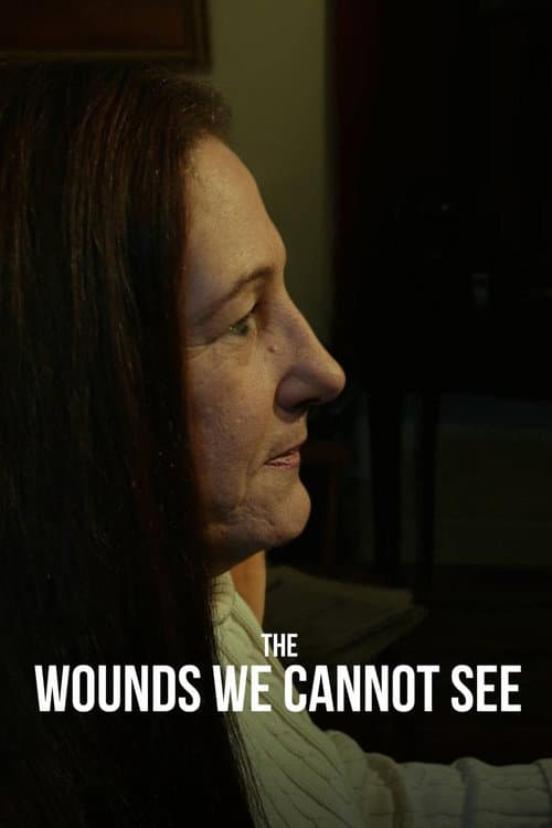 Poster for The Wounds We Cannot See