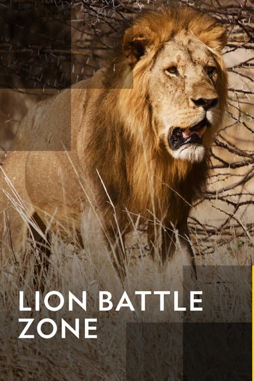 Poster for Lion Battle Zone