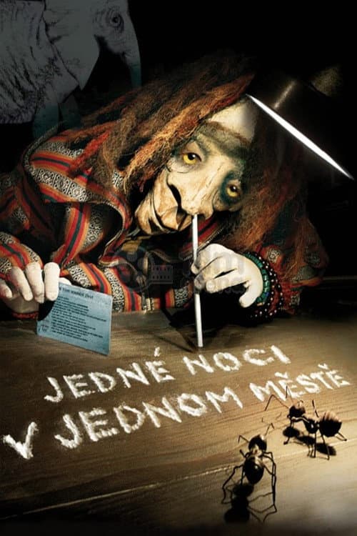 Poster for One Night in One City