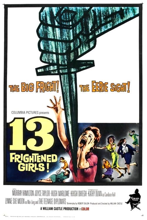 Poster for 13 Frightened Girls