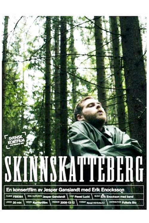 Poster for Skinnskatteberg
