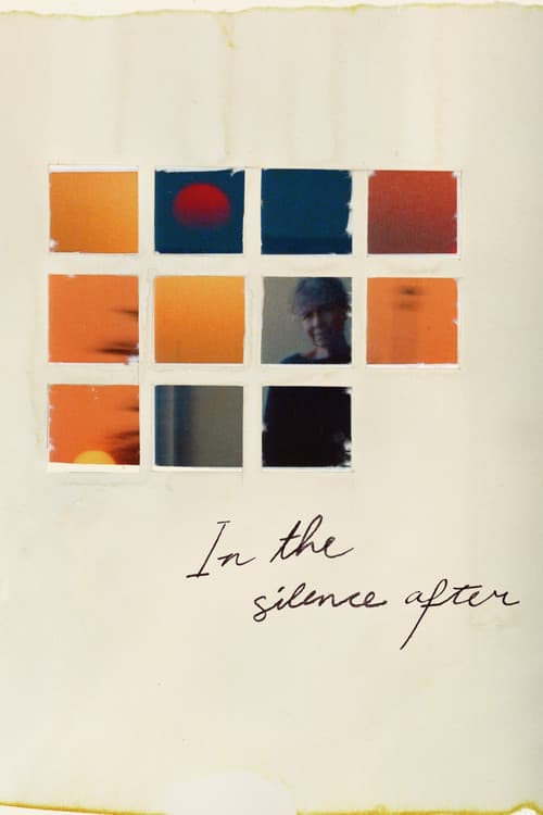 Poster for In the Silence After