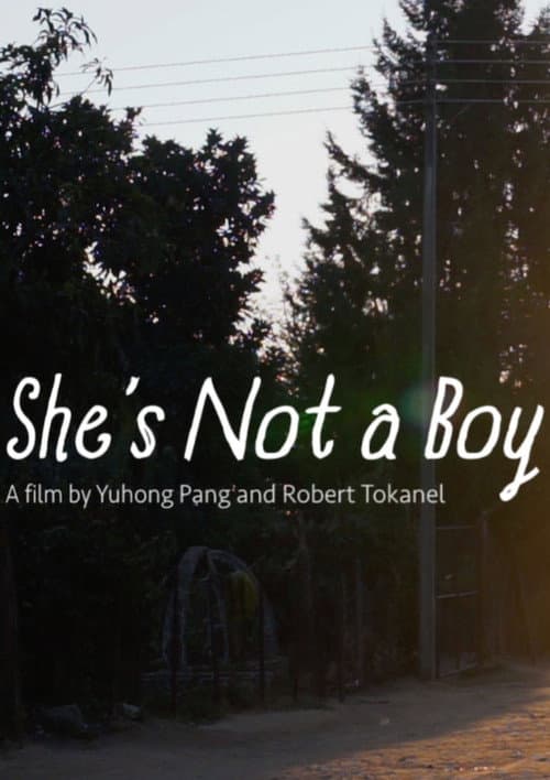 Poster for She's Not a Boy