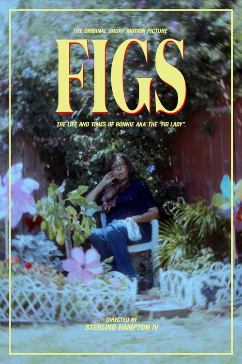 Poster for Figs