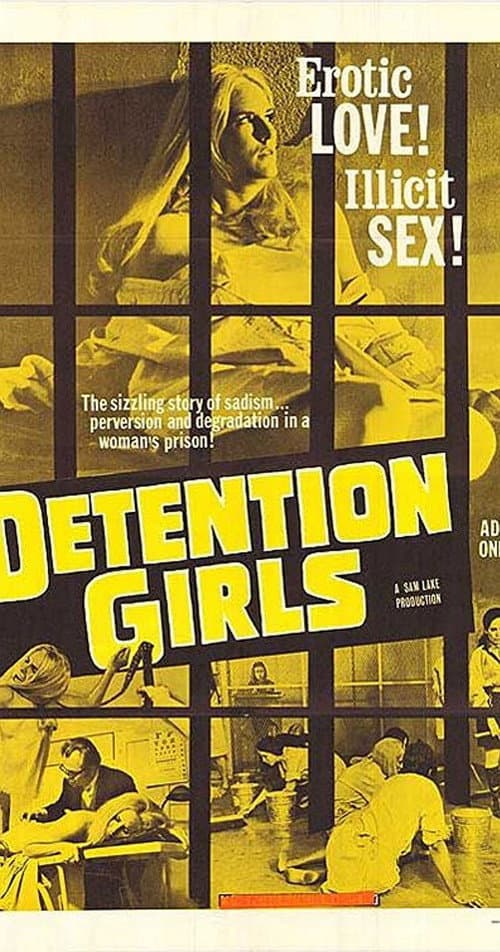 Poster for The Detention Girls
