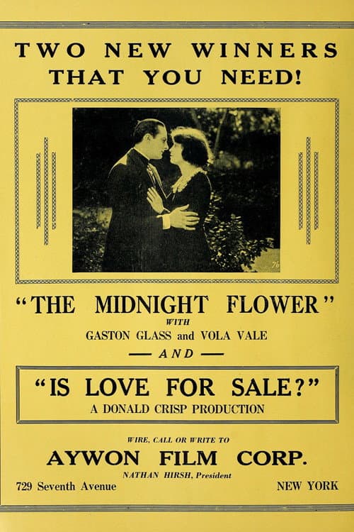 Poster for The Midnight Flower