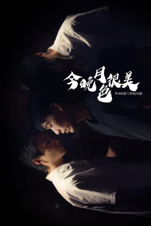 Poster for The Moonlight is Shining Tonight