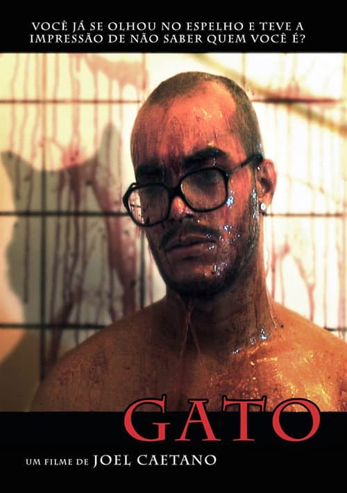 Poster for Gato