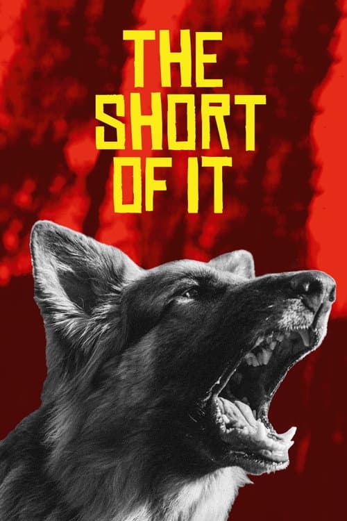 Poster for The Short of It