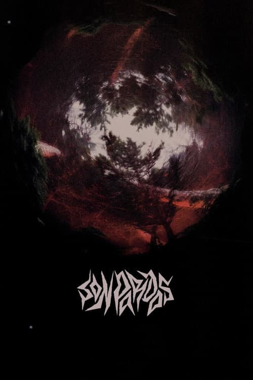 Poster for Grey at Night