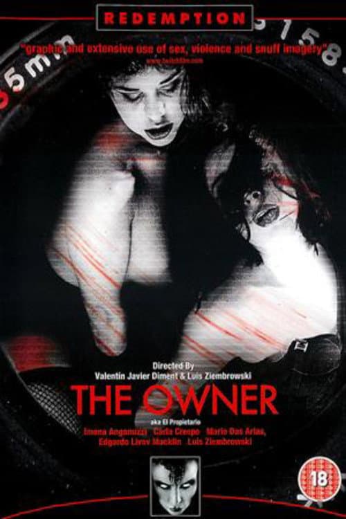 Poster for The Owner