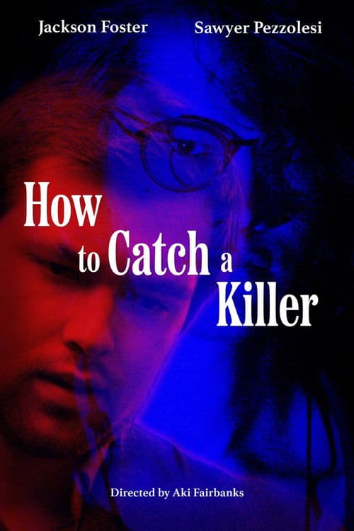 Poster for How to Catch a Killer