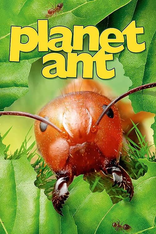 Poster for Planet Ant: Life Inside The Colony