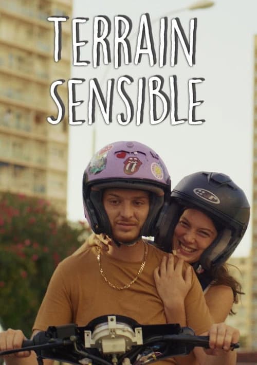 Poster for Terrain Sensible