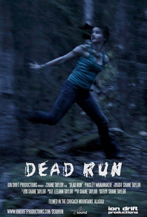 Poster for Dead Run