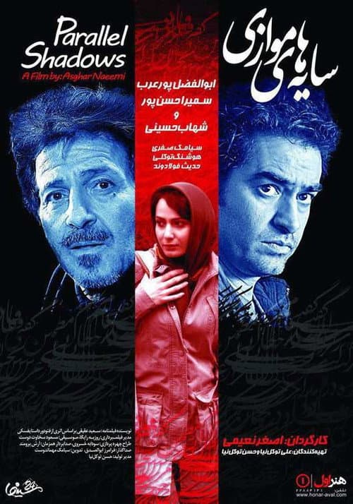 Poster for Parallel Shadows