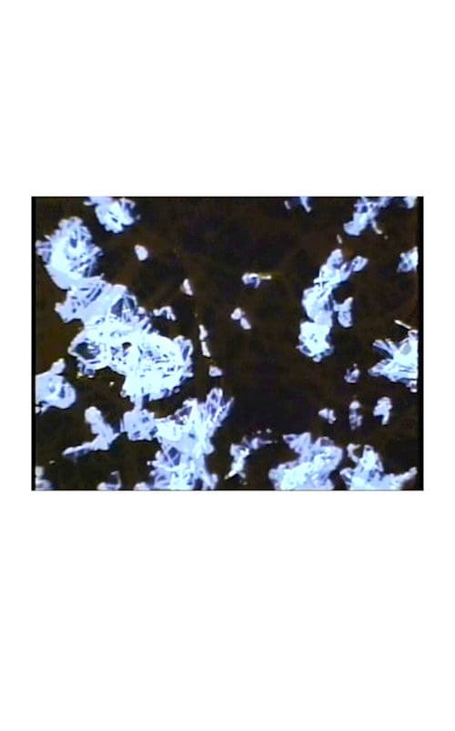 Poster for What The Water Said, Nos. 4-6