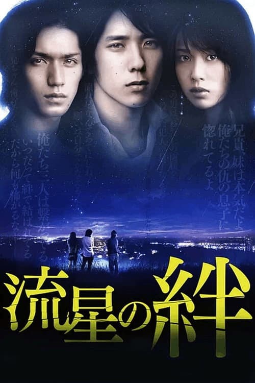 Poster for Ties of Shooting Stars