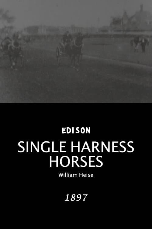 Poster for Single Harness Horses