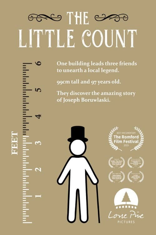Poster for The Little Count