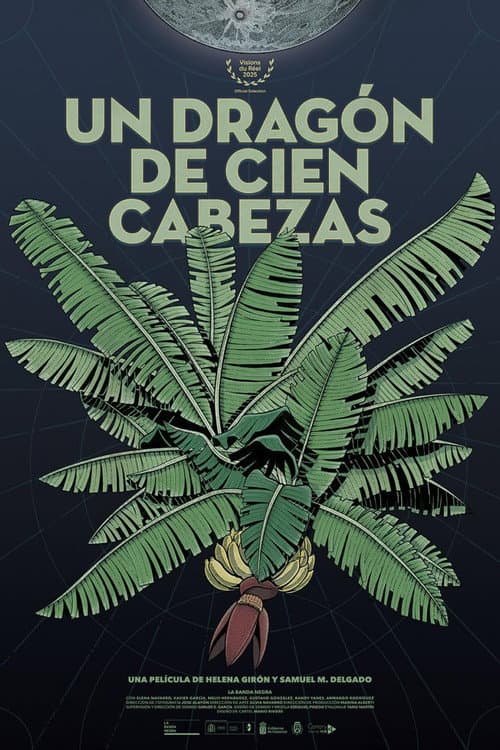 Poster for A Hundred-Headed Dragon