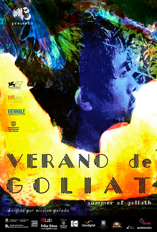 Poster for Summer of Goliath